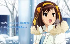 Фотография The Melancholy of Haruhi Suzumiya Девушки