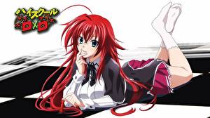 Обои High School DxD Девушки
