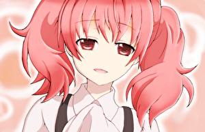 Картинка Inu x Boku SS Аниме Девушки