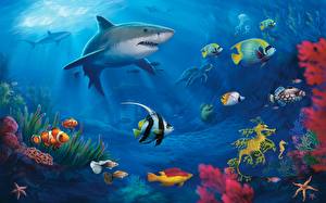 Обои Подводный мир Акулы Животные