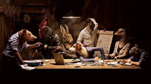 Фотографии 