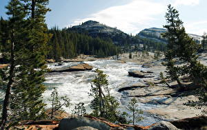 Фотография Парки Гора Реки США Йосемити Калифорния Tuolumne Природа