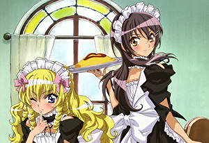 Обои Class President is a Maid! Аниме