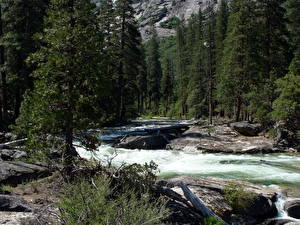 Фотография Парки Реки США Йосемити Калифорния Tuolumne Природа