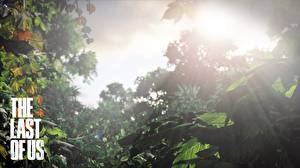 Фотографии The Last of Us компьютерная игра