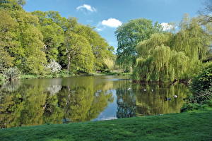 Обои Озеро Великобритания The lake at Mount Ephraim Gardens, Kent  Природа