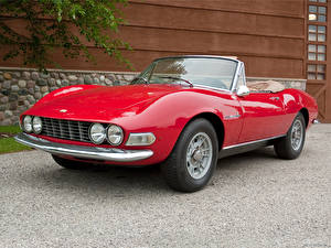 Фото Fiat Fiat Dino Spider 1966 машина