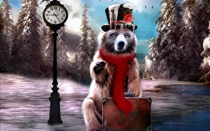 Фотографии 