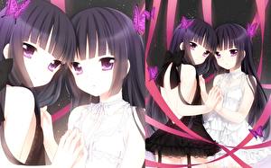 Обои Лисья Секретная Служба Аниме Девушки