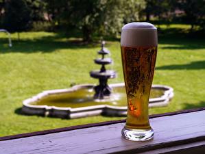 Фото Напиток Пиво Еда