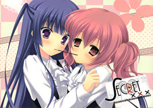 Картинки Лисья Секретная Служба Аниме Девушки