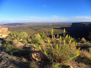 Фотография Пустыни Юта