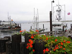 Фото Побережье Пристань Morro Bay fishing docks Природа