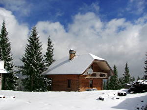 Фото Дома Украина Закарпатье город