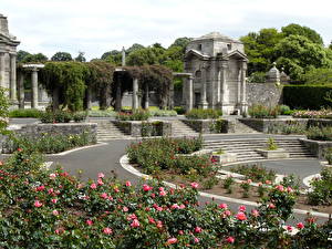 Обои Парк Дублин Ирландия Memorial Rose Garden Природа