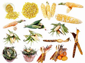 Обои Овощи Кукуруза Еда