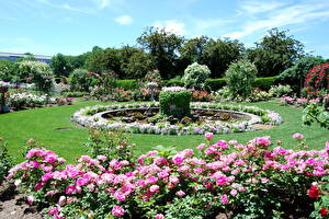 Фото Парки Бостон США Rose gardens Природа