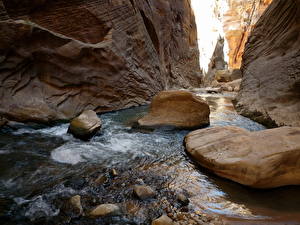 Фотографии Парки Зайон национальнай парк США Каньон Labyrinth Falls Utah Природа