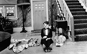 Фотография Чарли Чаплин Знаменитости