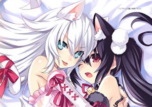 Картинки Hyperdimension Neptunia Девушки