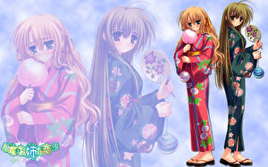 Картинка Девушка влюбилась в старшую сестру Девушки