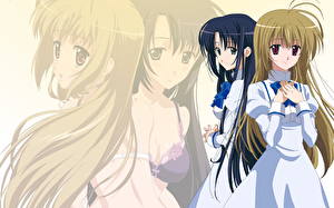 Обои Otome wa Boku ni Koishiteru Девушки