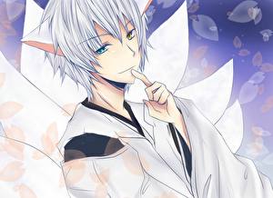 Фотография Inu x Boku SS Юноша Аниме