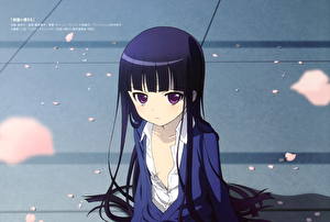 Картинка Inu x Boku SS Аниме Девушки