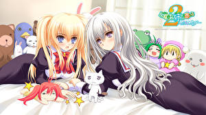 Картинка Девушка влюбилась в старшую сестру Девушки