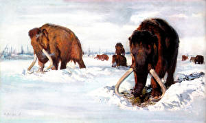 Картинка Древние животные Мамонты Животные