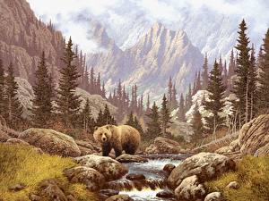 Картинка Медведь Бурые Медведи