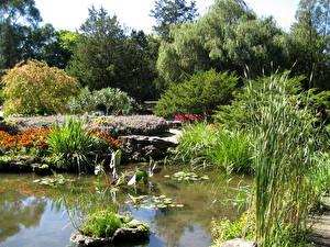 Фото Сады Пруд Канада Royal Botanical Gardens, Ontario Природа