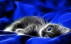 Фотография Кошки Смотрит котик 3D Графика