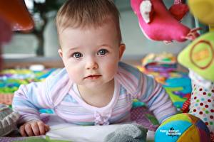 Картинки Младенца Смотрят ребёнок