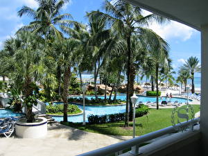 Фотография Курорты Плавательный бассейн Пальма Bahamas