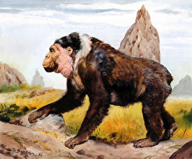 Картинка Картина Зденек Буриан Gigantopithecus blacki
