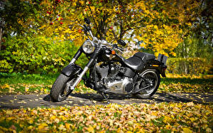 Картинка Harley-Davidson листья осень Мотоциклы