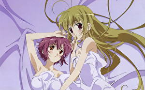 Фото Девушка влюбилась в старшую сестру Девушки