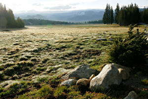 Картинка Парк США Йосемити Калифорнии Tuolumne Meadows Природа