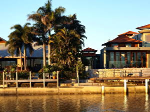 Картинки Курорты Пальм Австралия Квинсленд Мулулаба Города