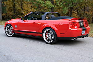 Фото Shelby Super Cars Shelby GT 500 Super Snake Автомобили