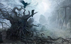 Фотографии Ведьмак вороны готика компьютерная игра