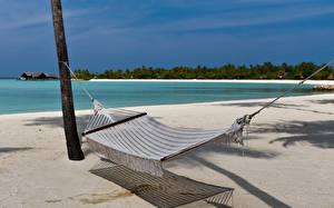 Фотография Тропики Пляж Мальдивы гамак Природа