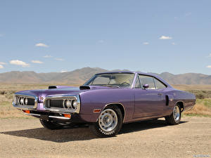 Обои для рабочего стола Dodge Coronet R-T 1970 машина