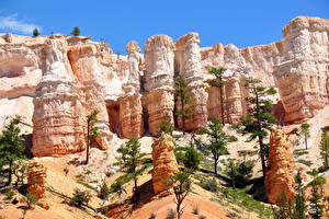 Фото Парки Каньон Bryce Canyon [USA, Utah] Природа