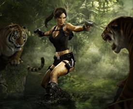 Картинка Tomb Raider Tomb Raider Underworld Лара Крофт Девушки