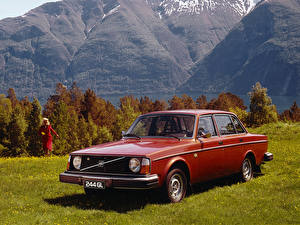 Картинки Вольво 244 GL 1975–78 авто