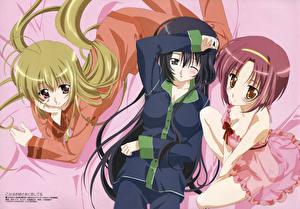 Картинка Otome wa Boku ni Koishiteru Девушки