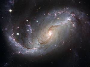 Фото Туманности в космосе Звезды созвездие, Золотая Рыба Космос