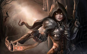 Картинка Diablo Diablo 3 компьютерная игра Фэнтези Девушки
